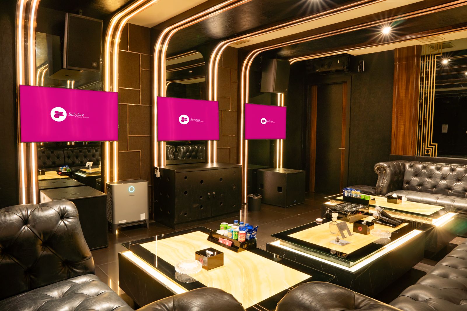 VVIP Presidential Suite